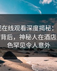 蘑菇影视在线观看深度揭秘：mogushipin风波背后，神秘人在酒店房间的角色罕见令人意外