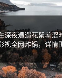 圈内人在深夜遭遇花絮羞涩难挡，香蕉影视全网炸锅，详情围观