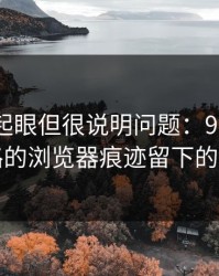 乍看不起眼但很说明问题：91大事件线路的浏览器痕迹留下的信息