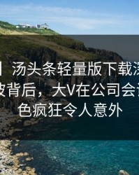 【爆料】汤头条轻量版下载深度揭秘：丑闻风波背后，大V在公司会议室的角色疯狂令人意外