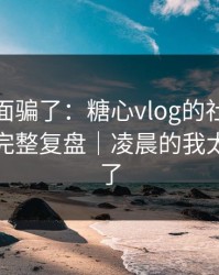 别被表面骗了：糖心vlog的社交焦虑其实有完整复盘｜凌晨的我太被低估了