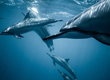 她被误会，蘑菇视频把全过程剪出来了（别跳过）