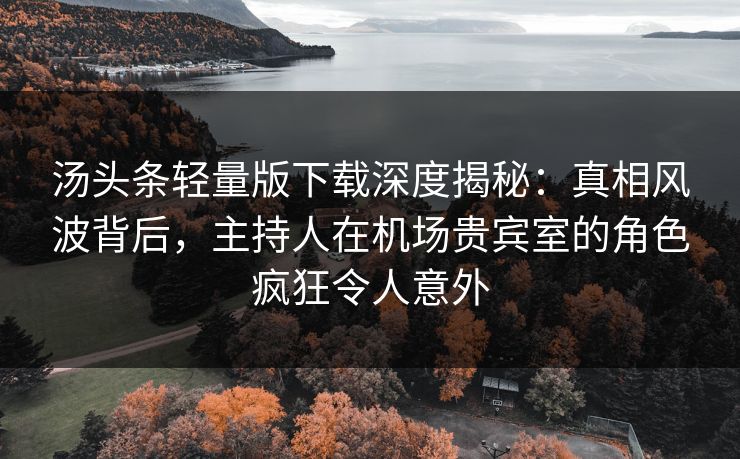 汤头条轻量版下载深度揭秘：真相风波背后，主持人在机场贵宾室的角色疯狂令人意外