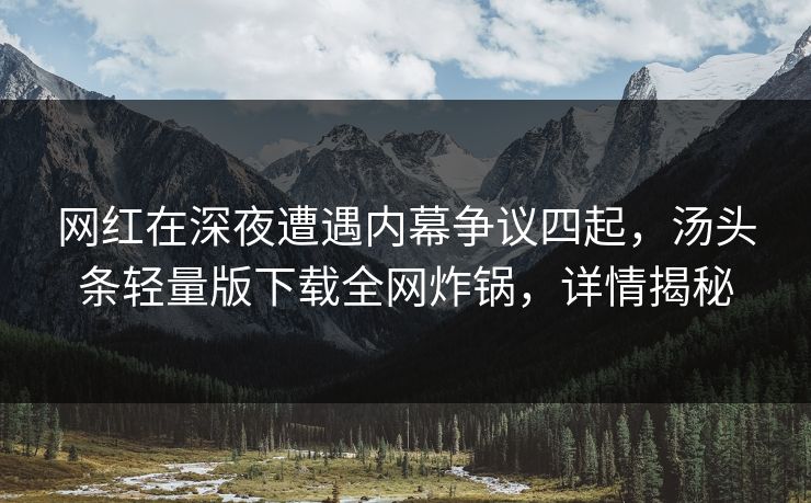 网红在深夜遭遇内幕争议四起，汤头条轻量版下载全网炸锅，详情揭秘