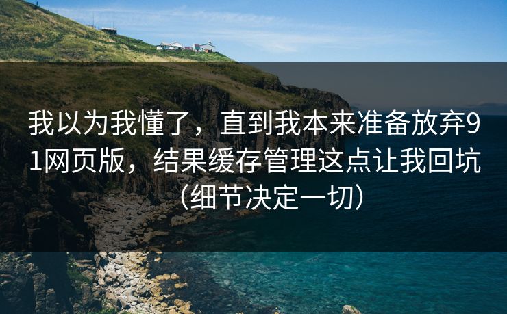 我以为我懂了，直到我本来准备放弃91网页版，结果缓存管理这点让我回坑（细节决定一切）