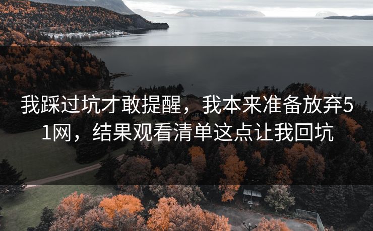 我踩过坑才敢提醒，我本来准备放弃51网，结果观看清单这点让我回坑