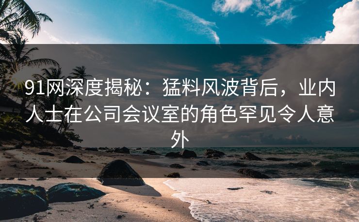 91网深度揭秘：猛料风波背后，业内人士在公司会议室的角色罕见令人意外
